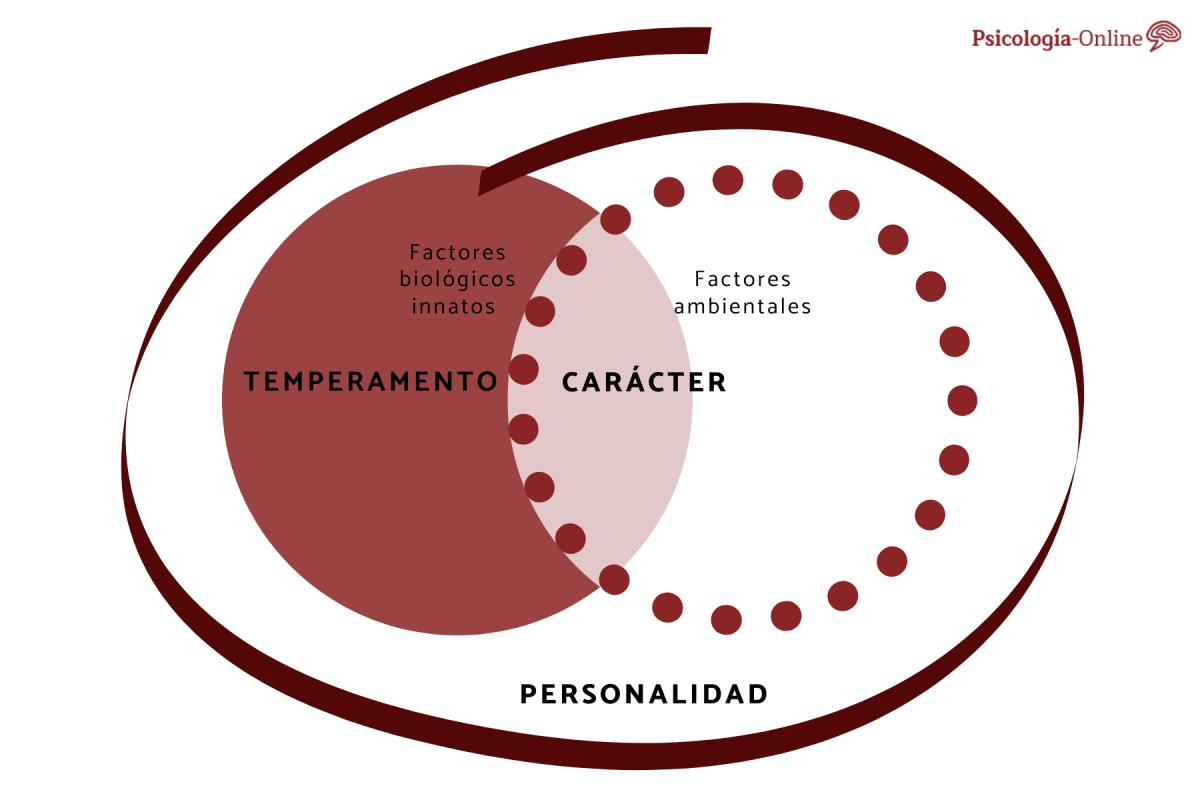 Diferencia entre temperamento, carácter y personalidad