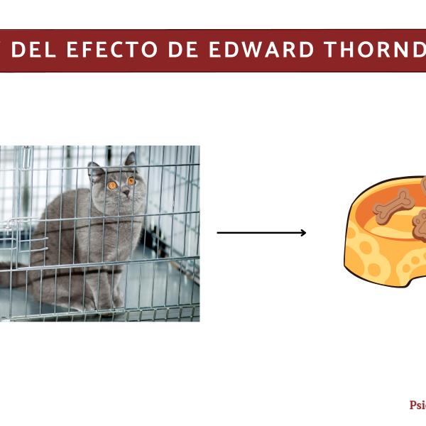 ley del efecto de thorndike