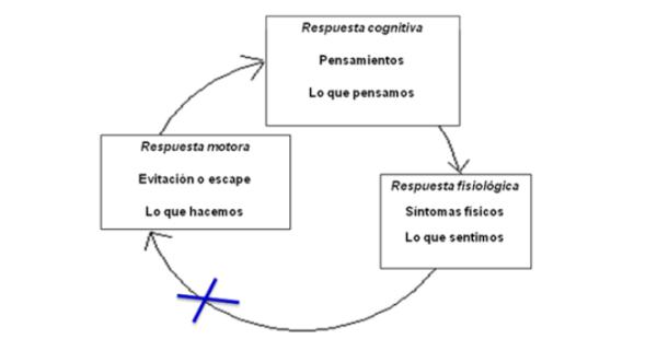 Miedos, Ansiedad y Fobias: diferencias, ¿normalidad o patología? - Ansiedad como respuesta psicofisiológica