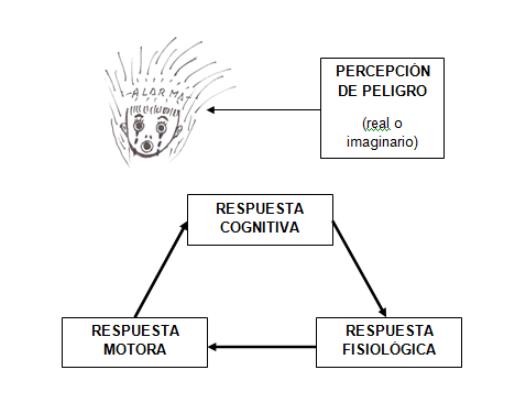 Miedos, Ansiedad y Fobias: diferencias, ¿normalidad o patología? - Miedo como respuesta emocional