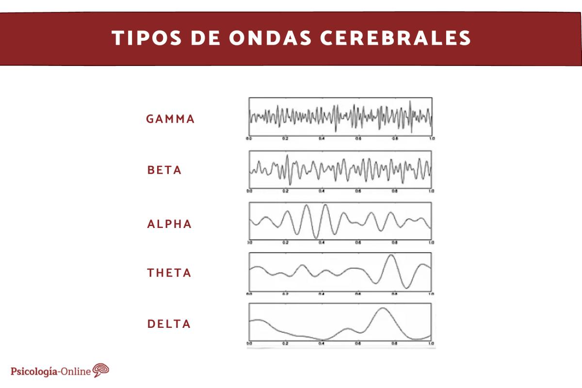 Tipos de ondas cerebrales
