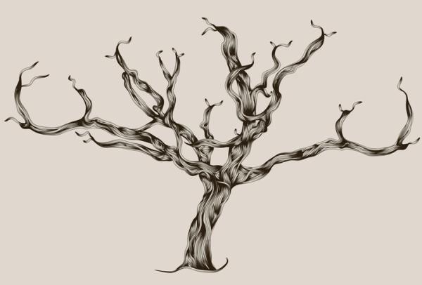 Actividades para personas con Alzheimer - Realización de un árbol genealógico