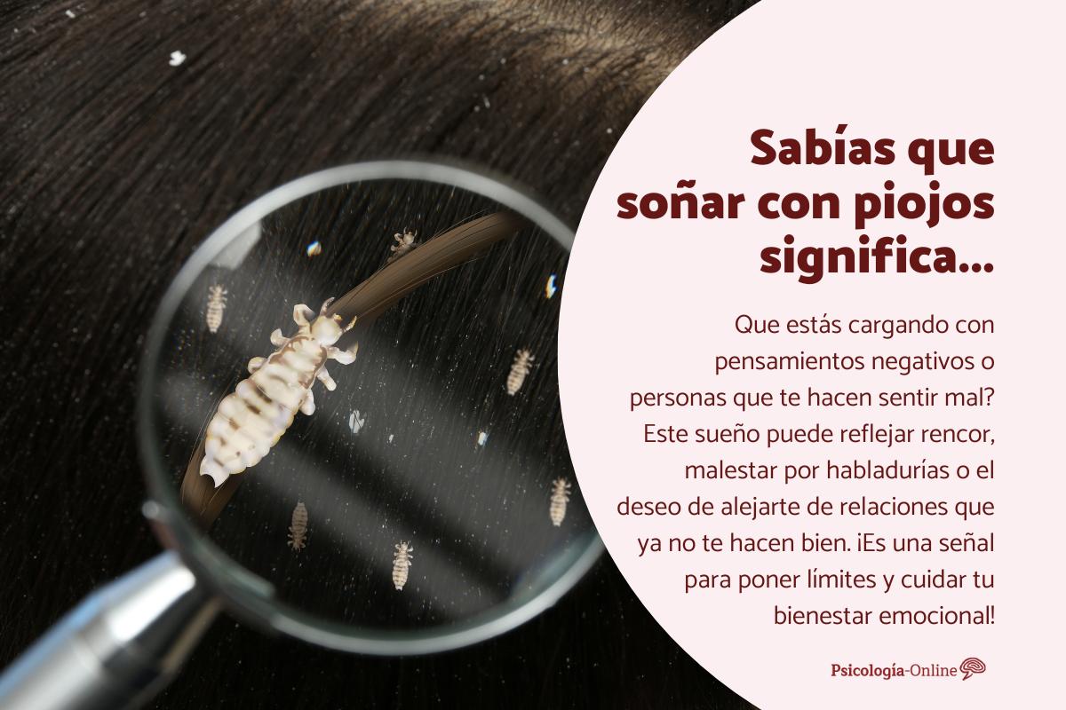 ¿Qué significa soñar con piojos?