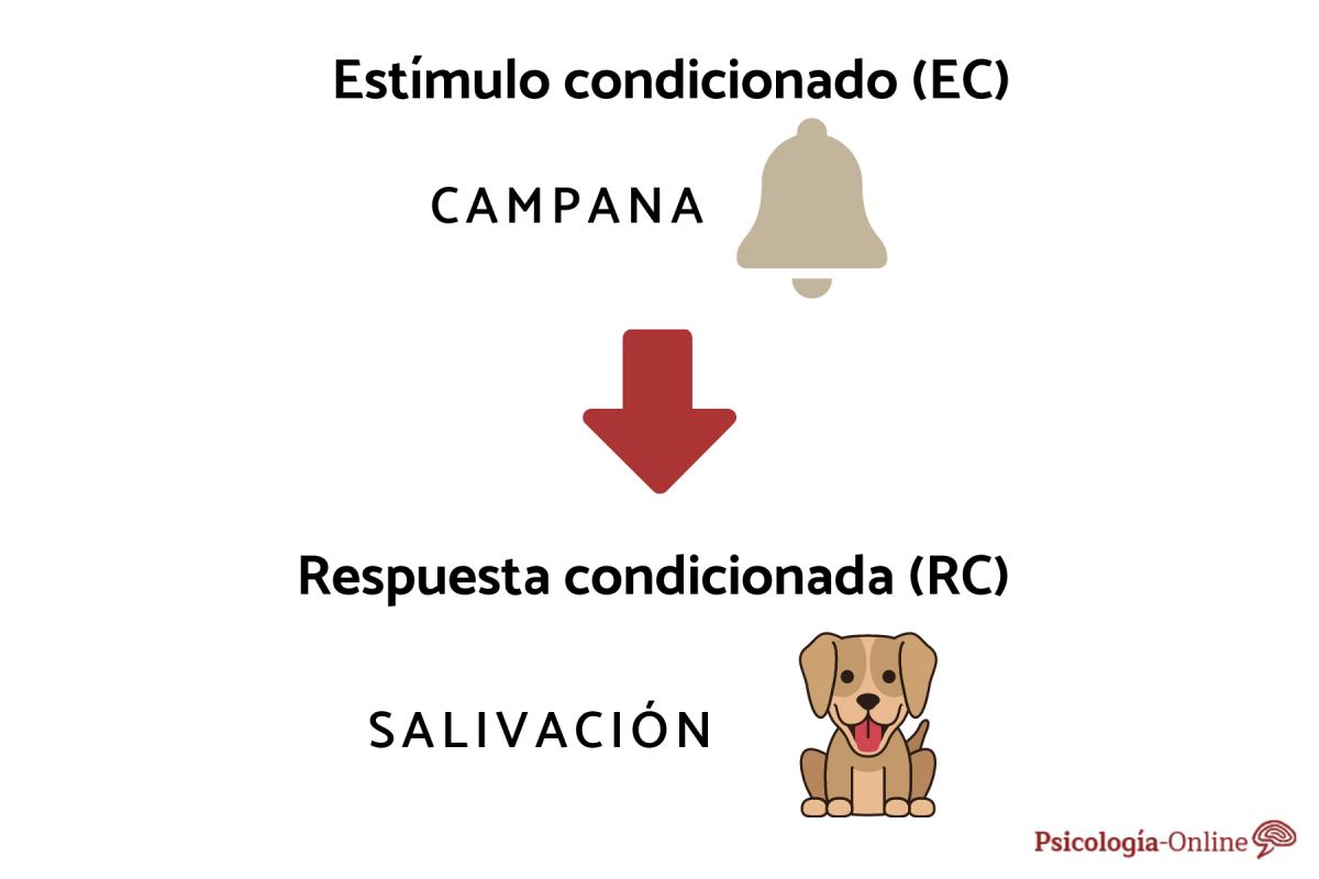 Estímulo condicionado: qué es y ejemplos