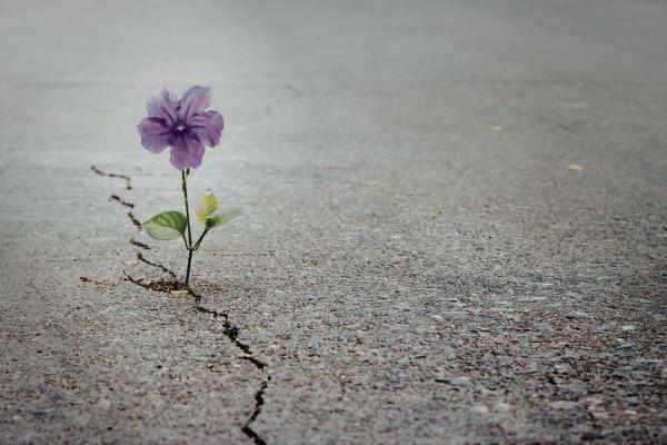 Resiliencia emocional: qué es y cómo aplicarla - Características de la resiliencia emocional