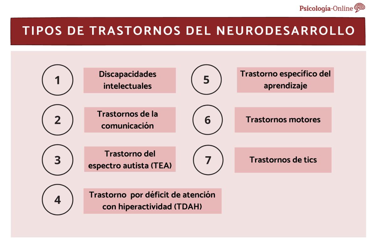 Tipos de trastornos del neurodesarrollo