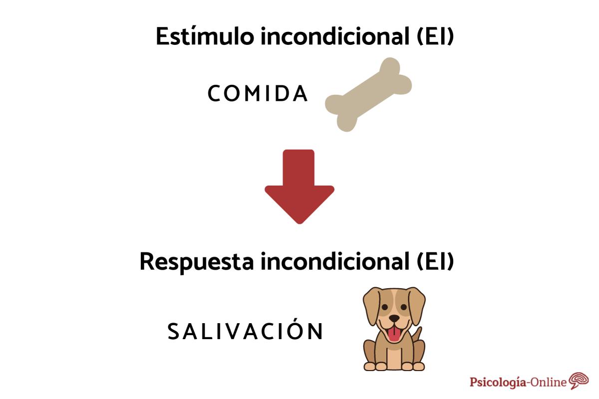 Estímulo incondicionado: qué es y ejemplos