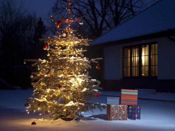 Navidad, la mejor época para compartir emociones positivas - Menú Navideño