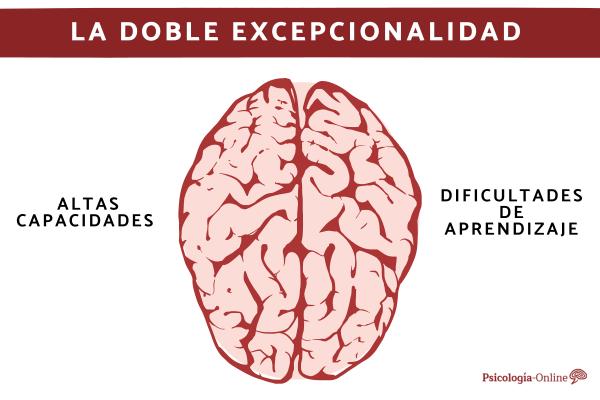 Qué es la doble excepcionalidad y cómo detectarla