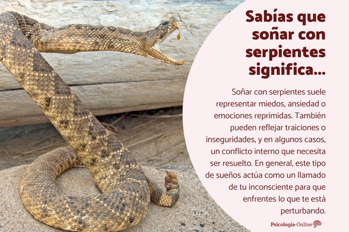¿Qué significa soñar con serpientes?
