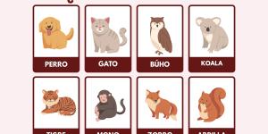 Test de qué animal eres según tu personalidad