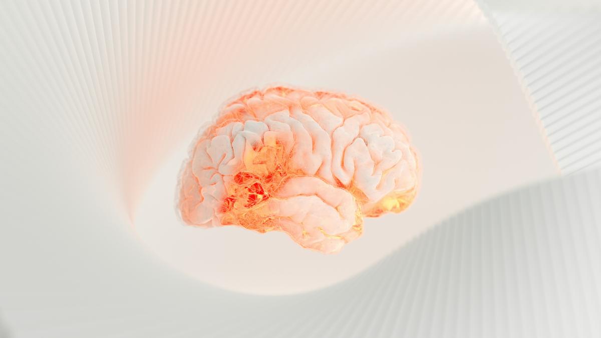 ¿Qué es la rehabilitación neuropsicológica y qué significa?