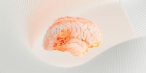 ¿Qué es la rehabilitación neuropsicológica y qué significa?