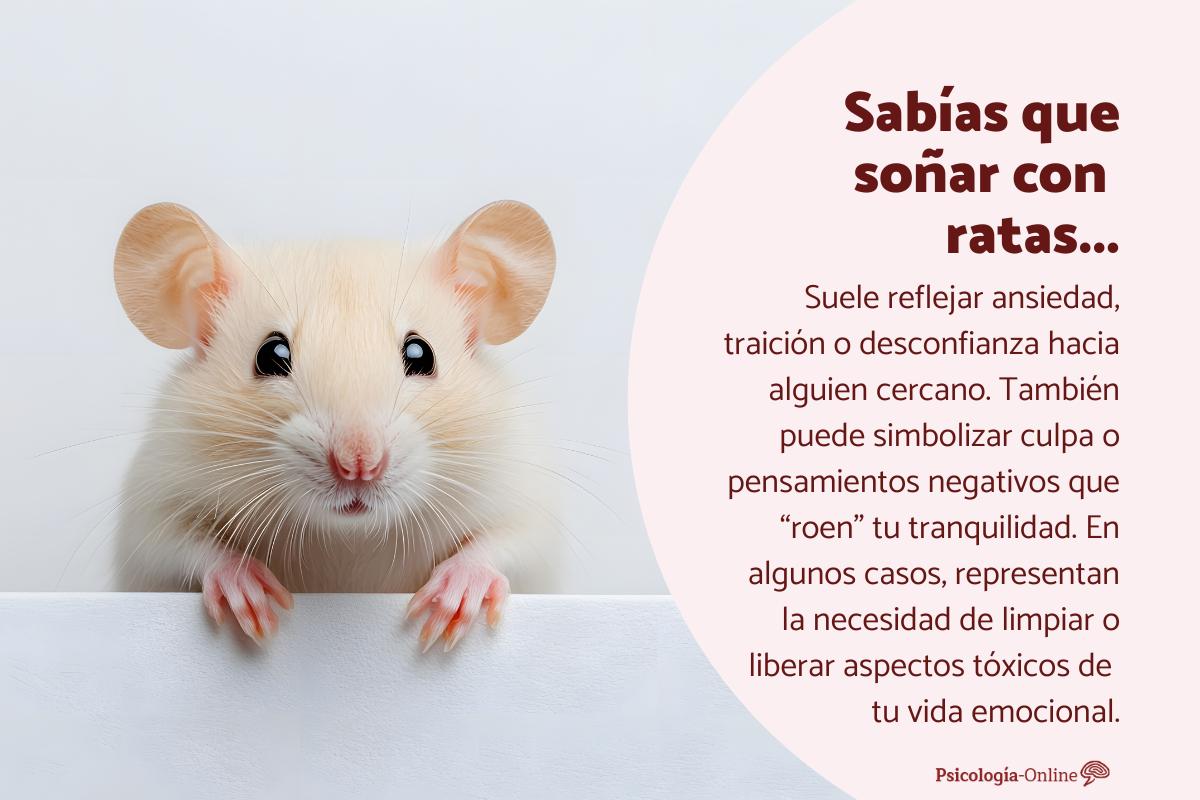 Qué significa soñar con ratas