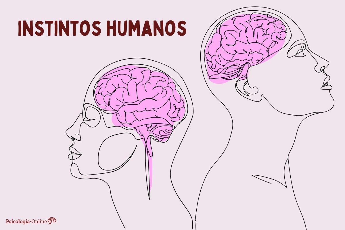 Instintos básicos del ser humano: qué son, tipos y ejemplos