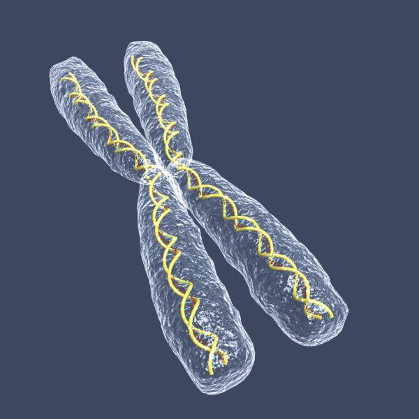 Problemas psicológicos y neuropsicológicos del síndrome de Turner - Síntomas somáticos más frecuentes