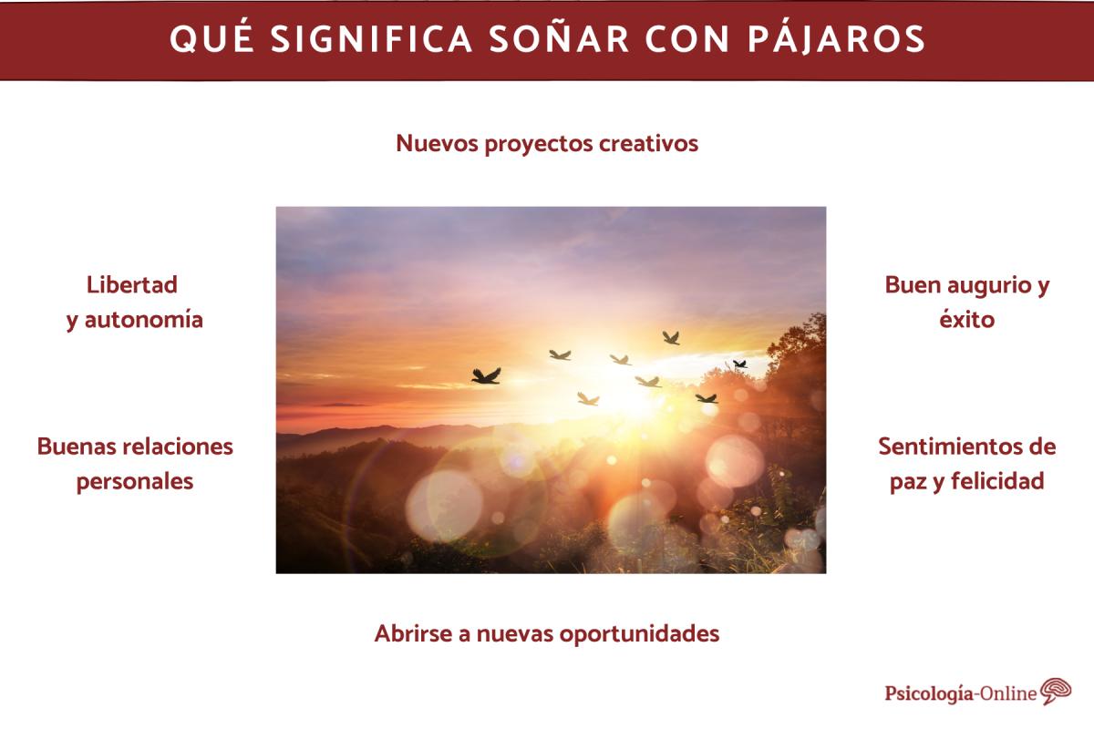 Qué significa soñar con pájaros