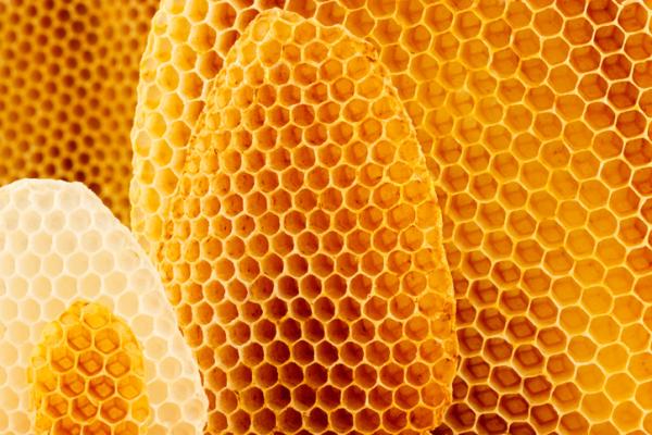 Qué es la tripofobia: definición con imágenes - Tripofobia: síntomas y definición