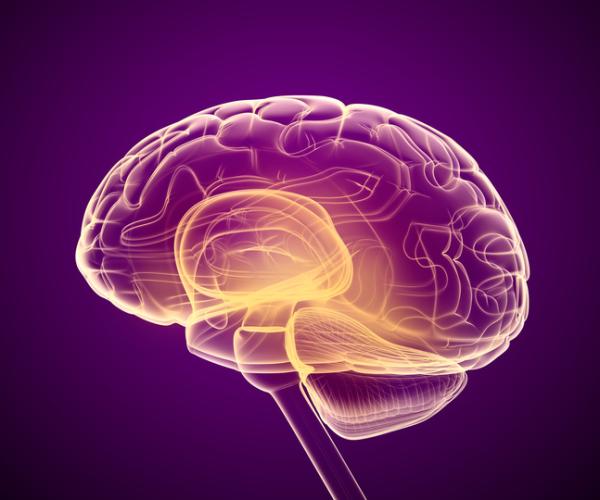 Qué es la Psiconeuroendocrinoinmunología - Desequilibrios del sistema