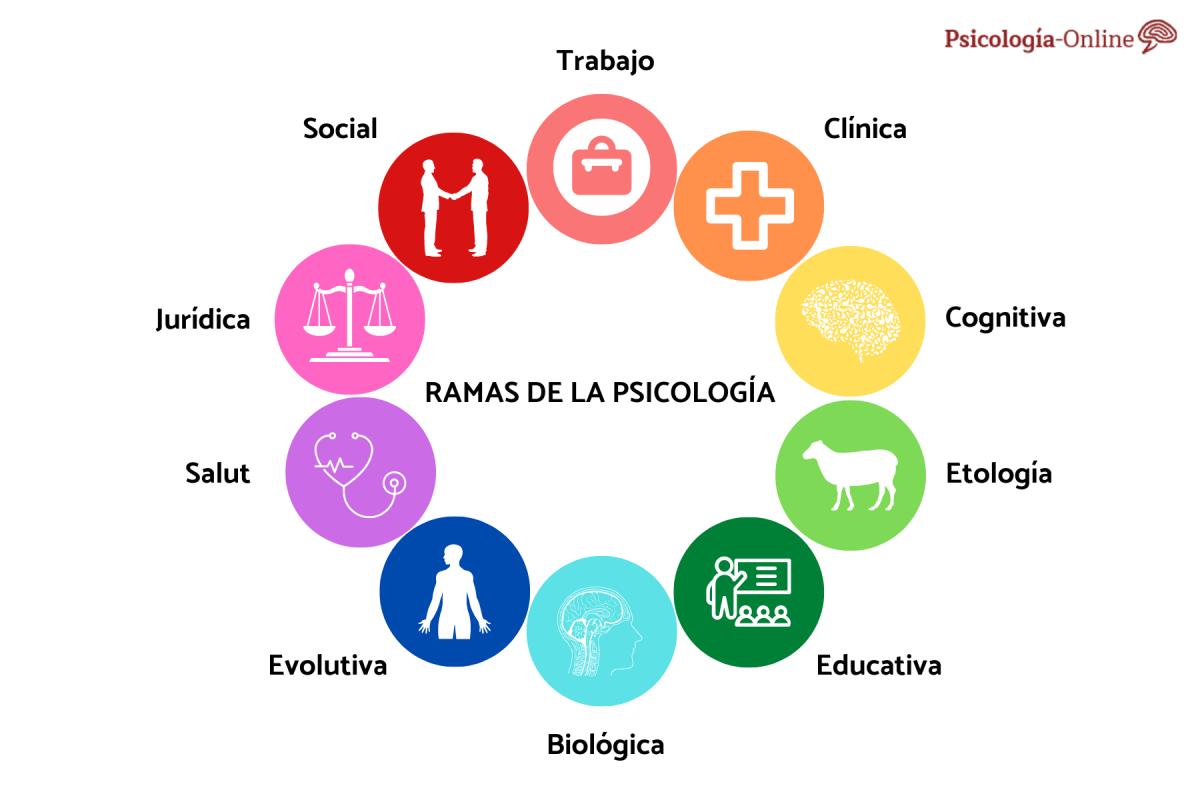 Ramas de la psicología y sus aplicaciones