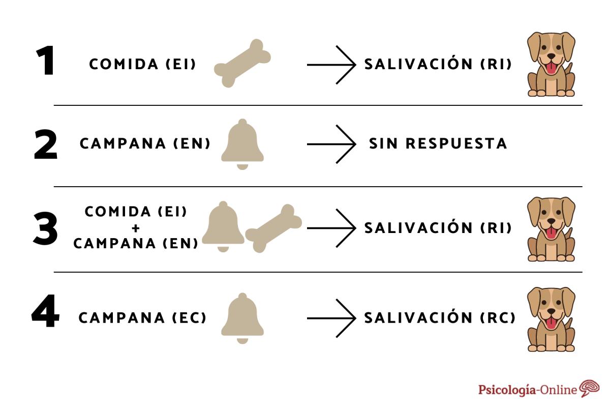 Qué es el condicionamiento clásico y ejemplos