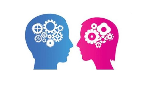 Diferencias entre el cerebro masculino y femenino