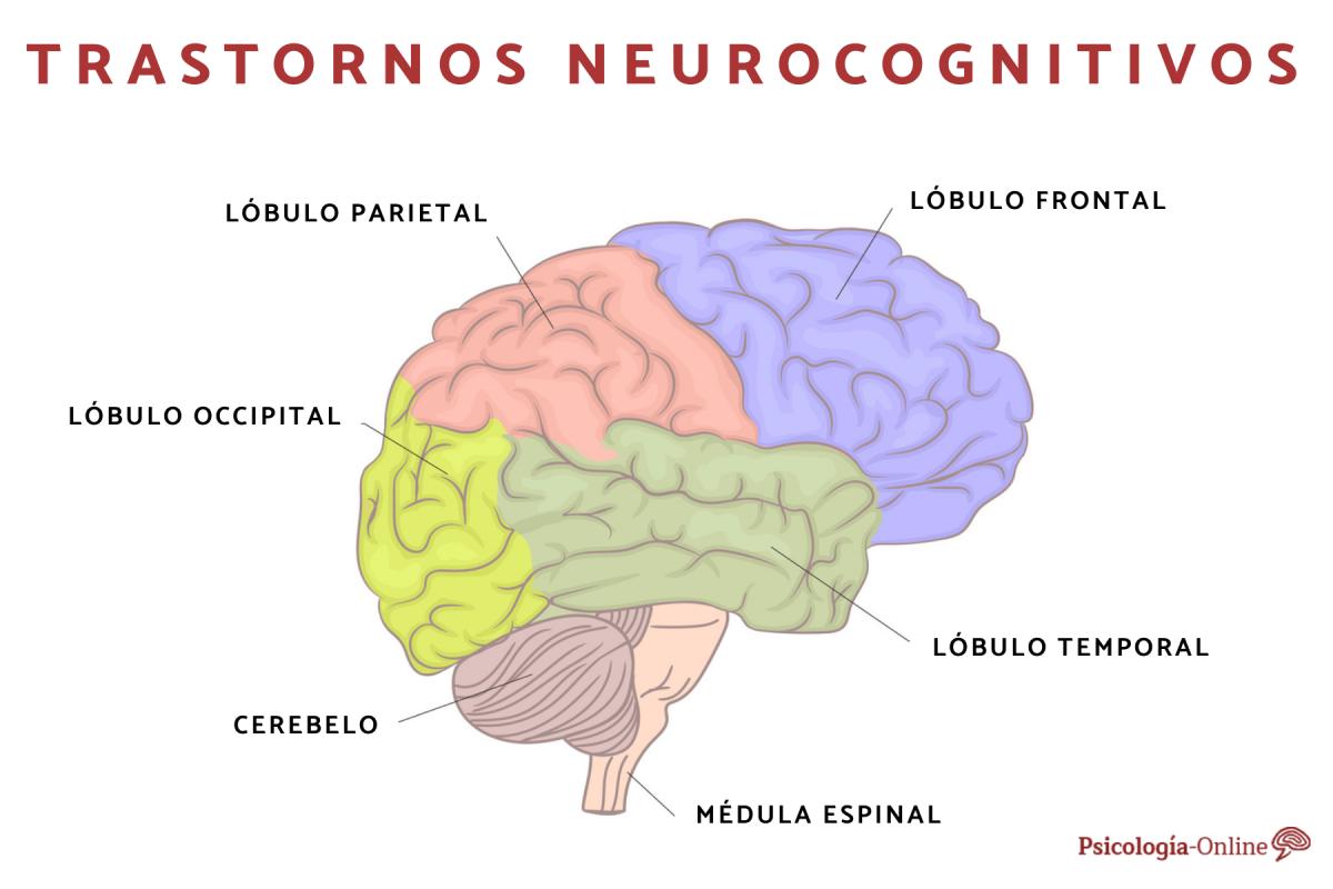 Trastornos neurocognitivos: qué son, tipos, causas y tratamiento