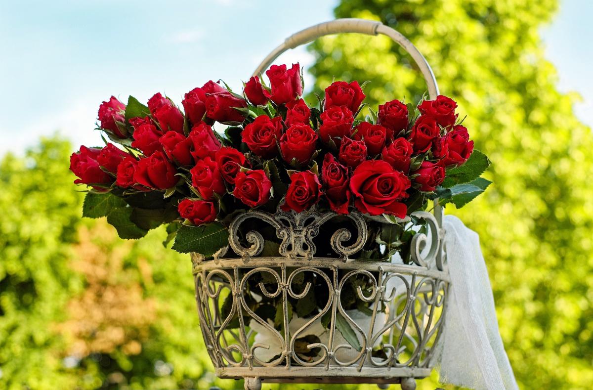 Qué significa soñar con rosas