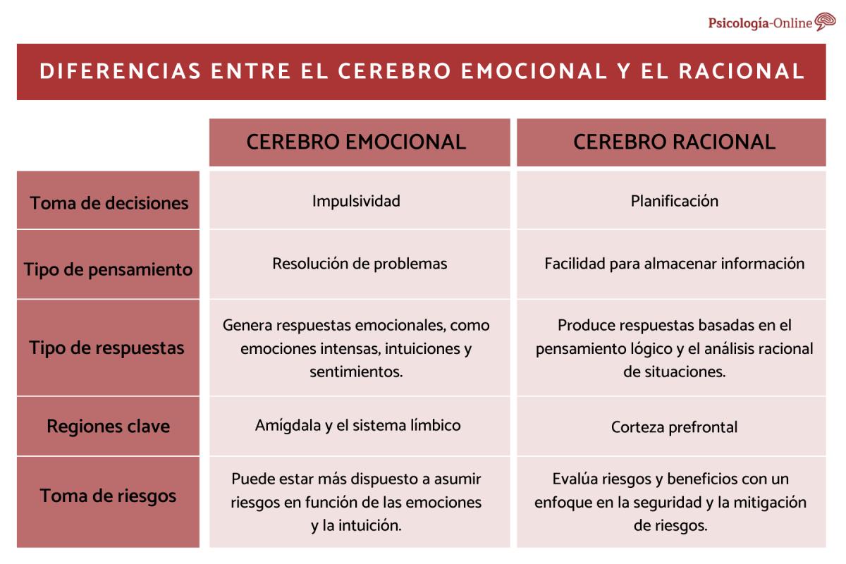 Diferencias entre el cerebro emocional y el racional
