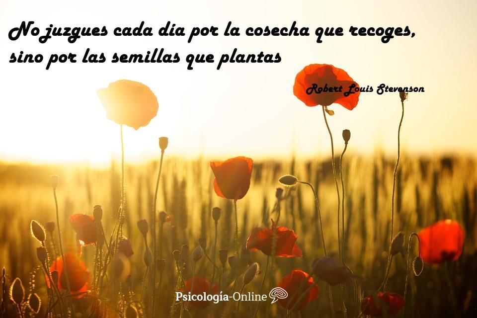 +120 Frases de superación personal - ¡Cortas y motivadoras!
