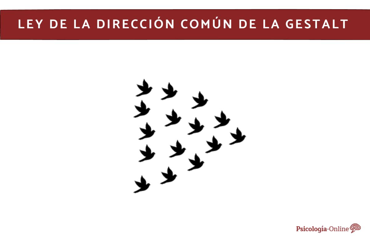 Qué es la ley de la dirección común de la Gestalt y ejemplos