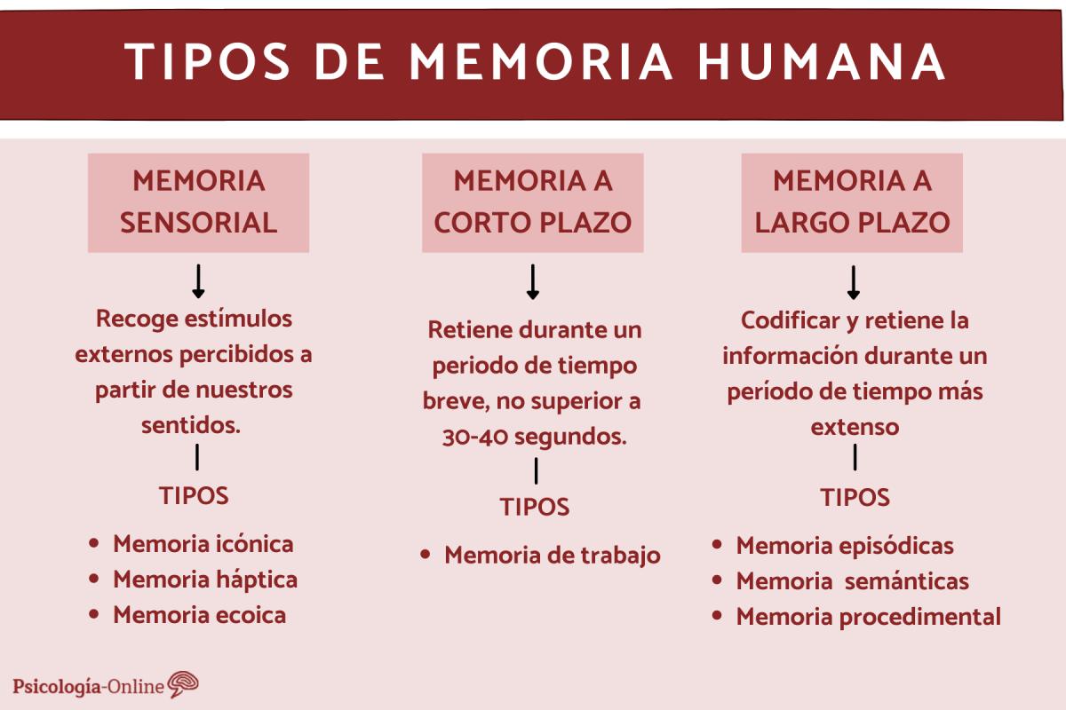 Tipos de memoria humana
