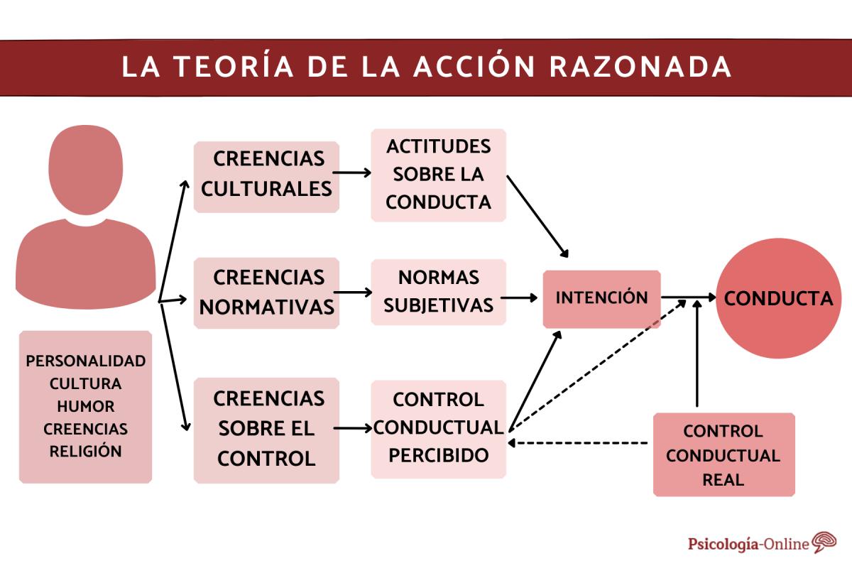 Qué es la teoría de la acción razonada y ejemplos