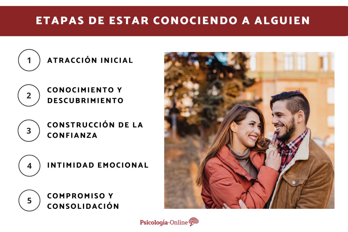 Cuáles son las etapas de estar conociendo a alguien
