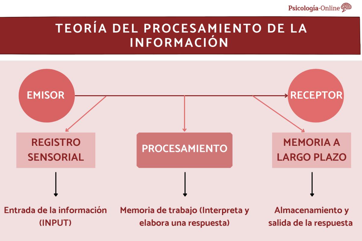 Teoría del procesamiento de la información: qué es, características y ejemplos