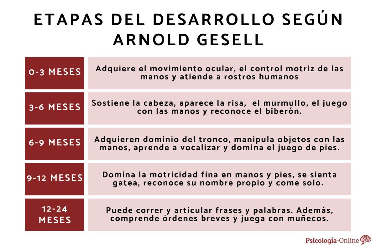 Teoría de la maduración de Arnold Gesell