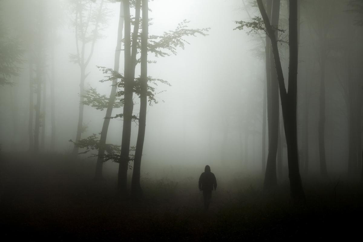 Qué es el miedo en psicología