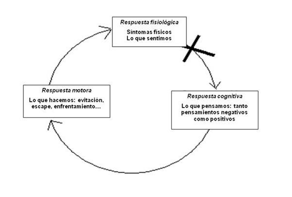 Entrenamiento en Relajación Aplicada - Entrenamiento en relajación aplicada