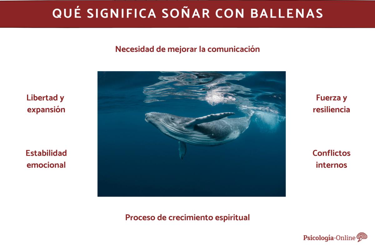 Qué significa soñar con ballenas