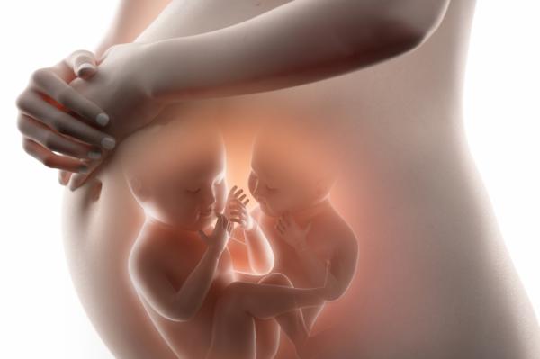 ¿Qué significa soñar que estás embarazada sin estarlo? - ¿Qué significa soñar que estás embarazada de gemelos?