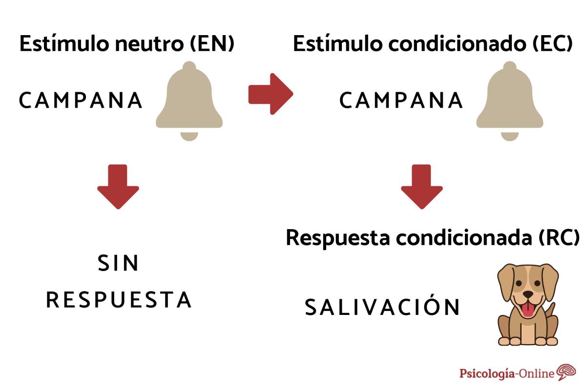 Qué es el estímulo neutro en psicología