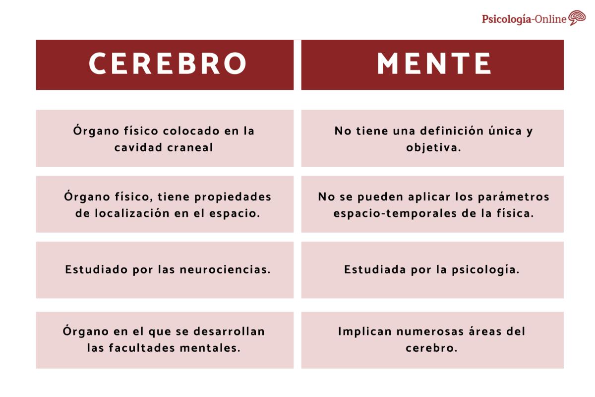 Diferencias entre cerebro y mente en psicología