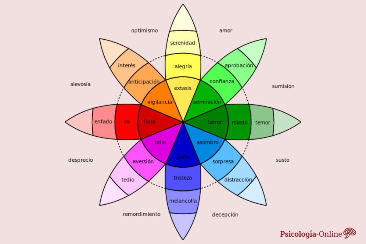 Emociones secundarias: cuáles son, características y ejemplos