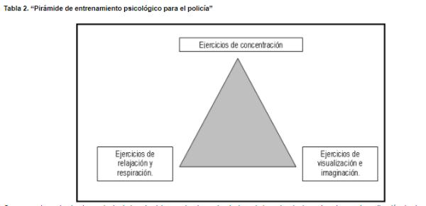 La Preparación Mental del Policia en las Intervenciones Policiales - Conclusiones