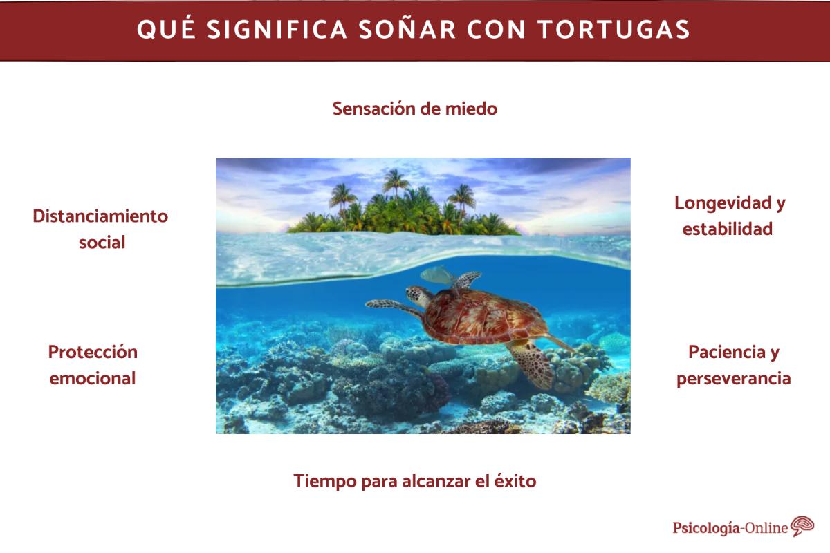 Qué significa soñar con tortugas