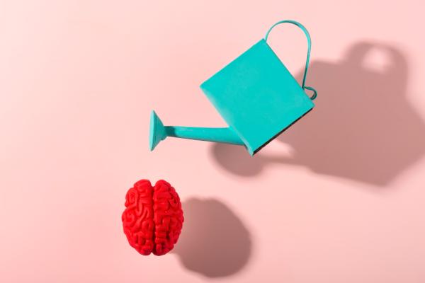 Mentalidad de crecimiento de Carol Dweck: qué es y cómo desarrollarla - ¿Qué es la mentalidad de crecimiento de Carol Dweck?
