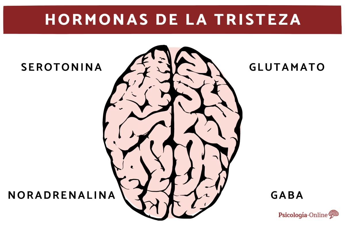 Hormona de la tristeza: cuál es, dónde se produce y cómo funciona
