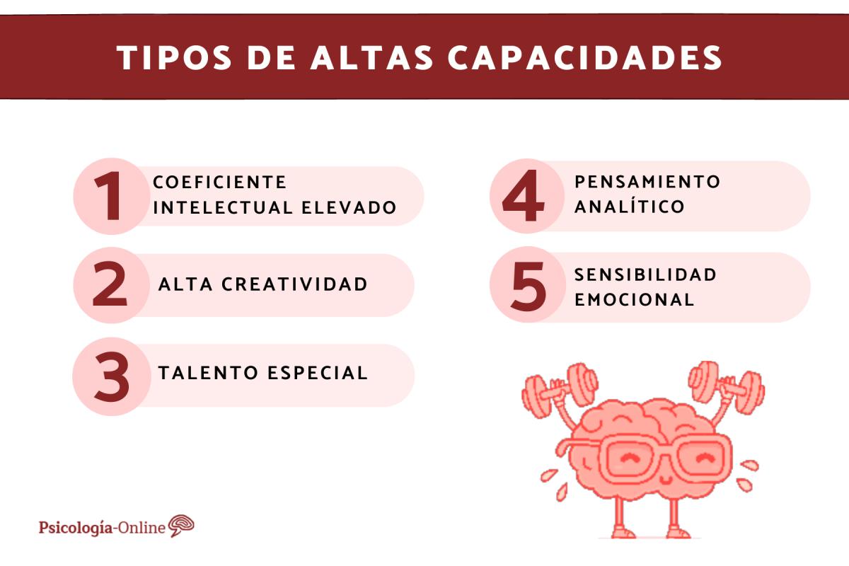 Tipos de altas capacidades intelectuales y sus características