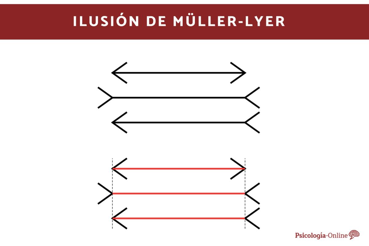 Qué es ilusión de Müller-Lyer y por qué se produce