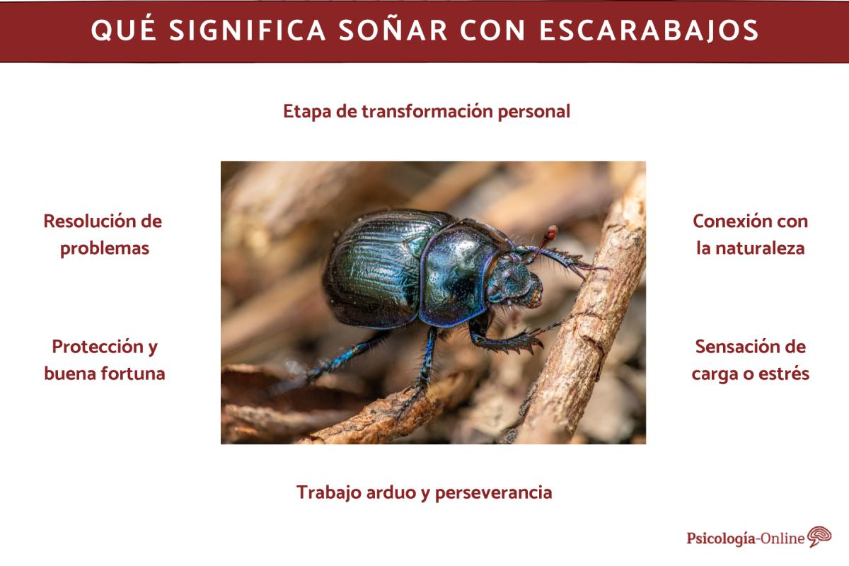 Qué significa soñar con escarabajos